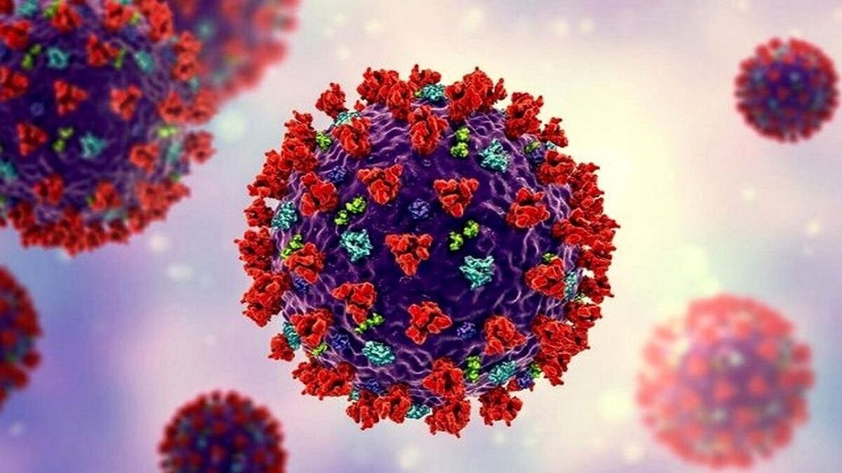 تا 3 ماه آینده موج جدیدی از کرونا نخواهیم داشت 