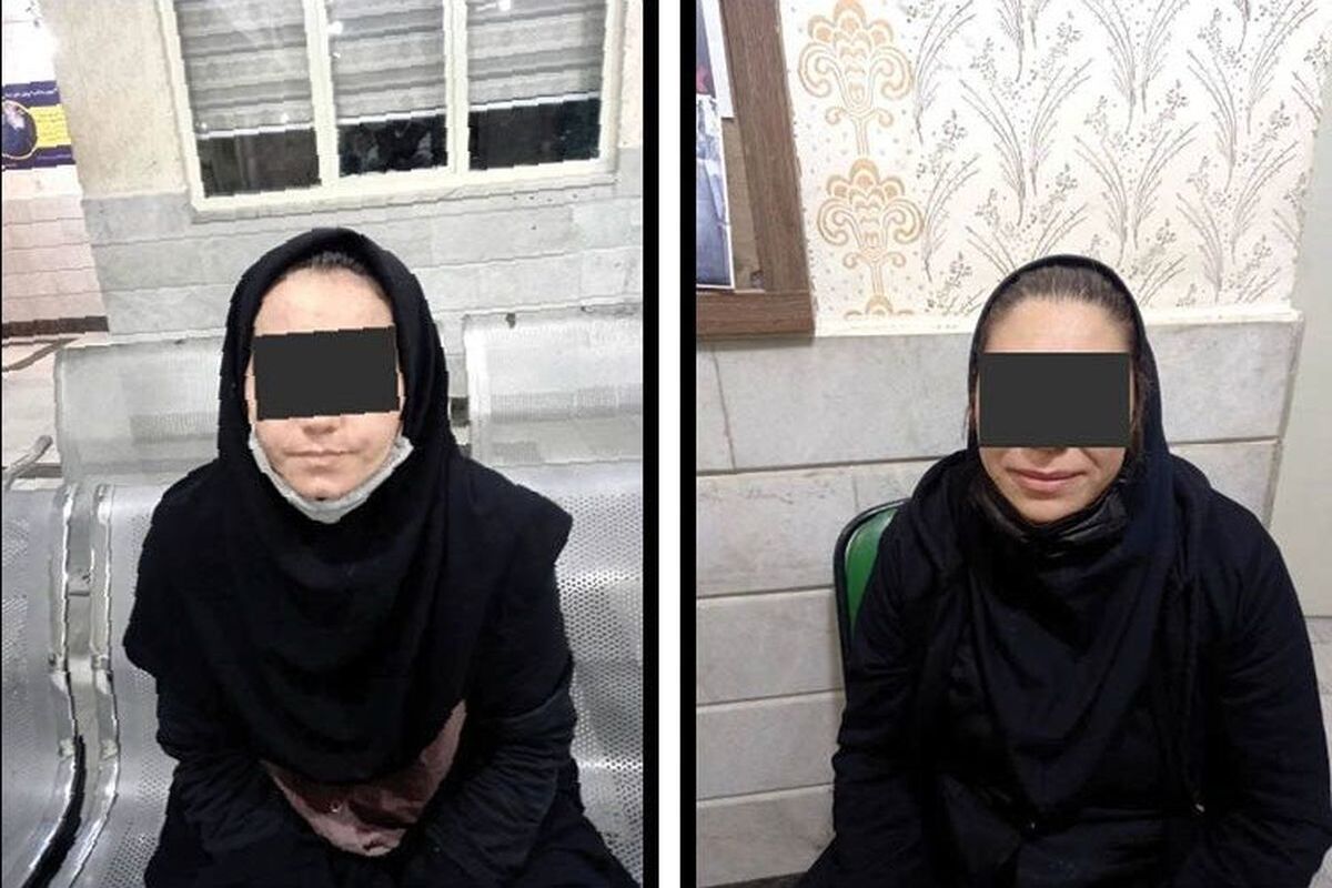 دستگیری دختر 18 ساله به جرم سرقت/ فرید قرار است سند بیاورد اما ...
