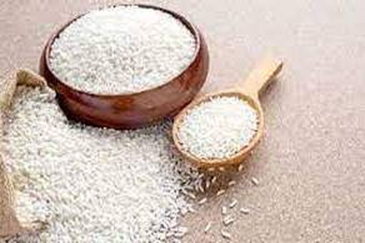 «برنج» در ایستگاه قیمت‌گذاری دستوری؛ نرخ انواع مختلف اعلام شد