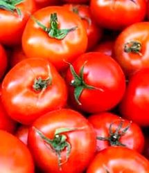 چرا گوجه‌فرنگی ۶۵ هزار تومان شد؟