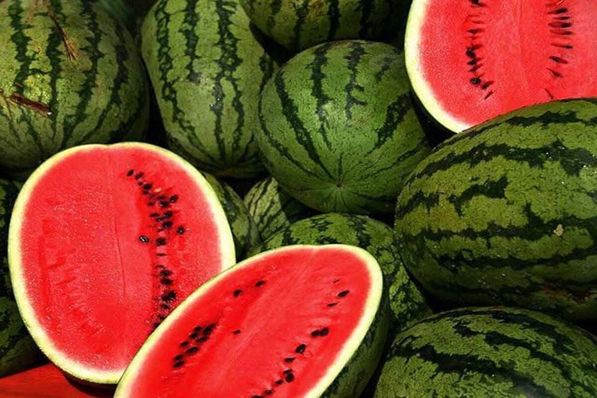 قیمت هندوانه هم نجومی شد