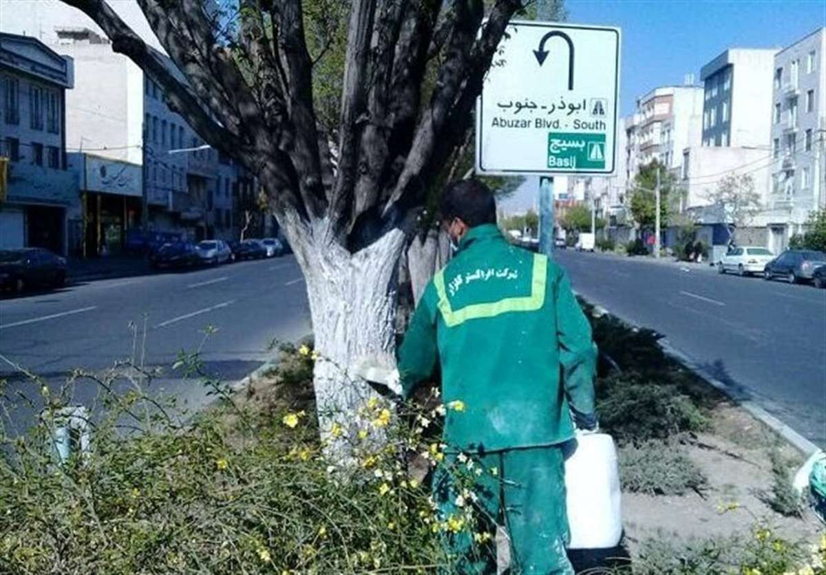 هشدار! ؛ به هیچ وجه تنه این درختان را لمس نکنید