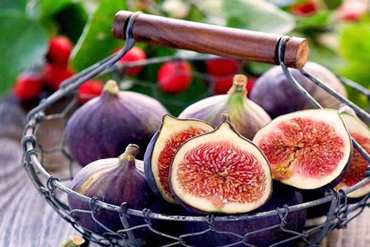 با میوه ضد یبوست، تب‌بر و دفع‌کننده سموم آشنا شوید