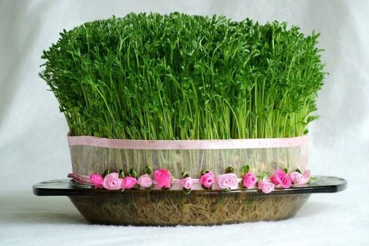 نوروز به حالت تعلیق در آمد 