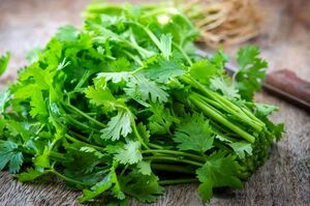 معجزه جعفری در غذاهای شما