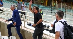 اعتراف تلخ نظری جویباری درباره ساپینتو