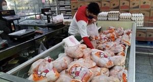 مرغ ۴۰۰ هزار تومانی در راه است