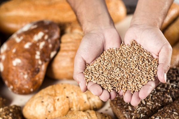راه جدید برای تامین ویتامین D در کشور