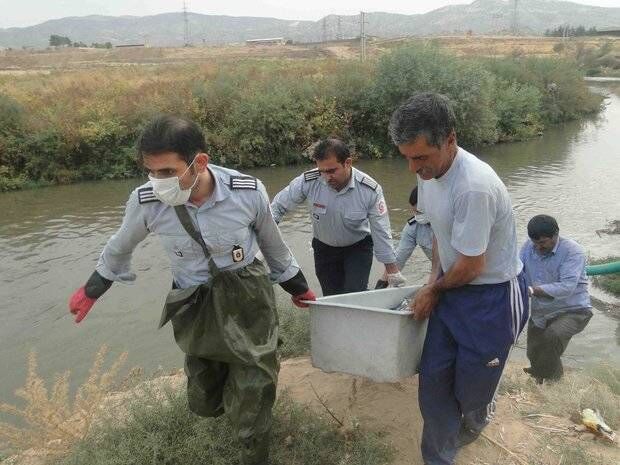 گدای زورگو مرد میانسال را به خاطر پول ندادن به قتل رساند /جسدش را به فاضلاب انداختم!