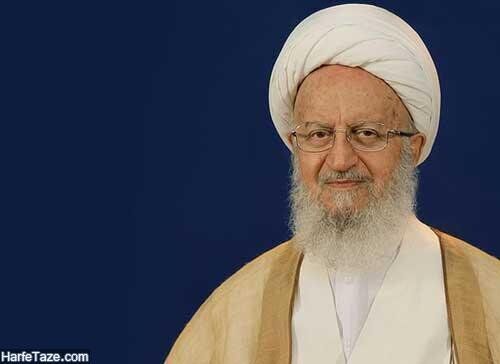آیت الله مکارم شیرازی: مردم از گرانی فوق‌العاده رنج می‌برند، باید کاری کرد 