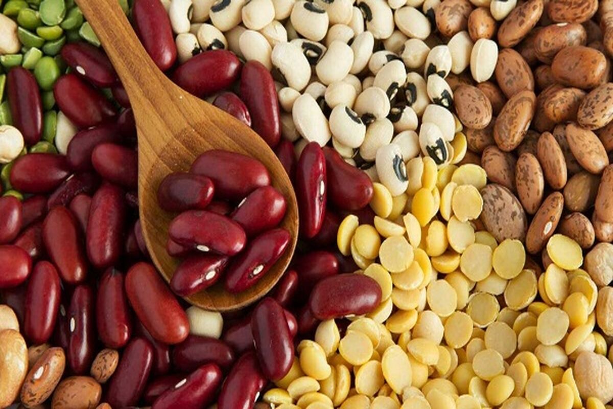معرفی مواد غذایی دارای پروتئین گیاهی