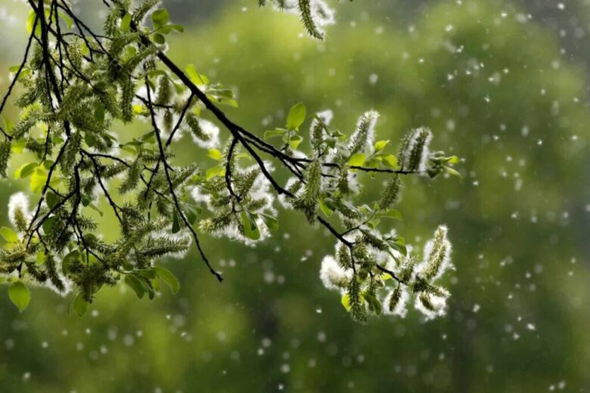 ۸ راه طبیعی برای جلوگیری از حساسیت بهاری