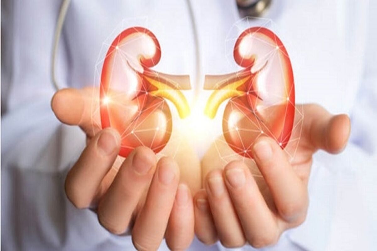 دفع سنگ کلیه با استفاده از گیاه خارخاسک 