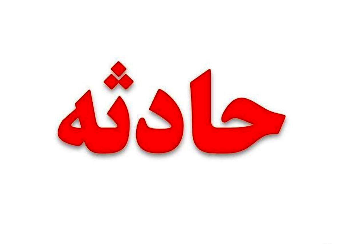  ضرب و شتم شدید یک مسافر زن توسط راننده تاکسی اینترنتی در تهران + فیلم دردناک