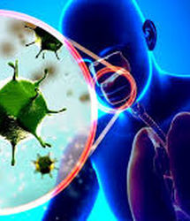 آنفلوآنزا در ۸ استان بالاتر از حد هشدار