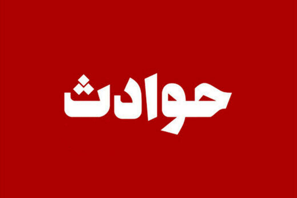 زن جوان وقتی متوجه تغییر مسیر ناگهانی ماشین شد با داد و فریاد از راننده خواست توقف کند/ راننده ناشنوا بود!