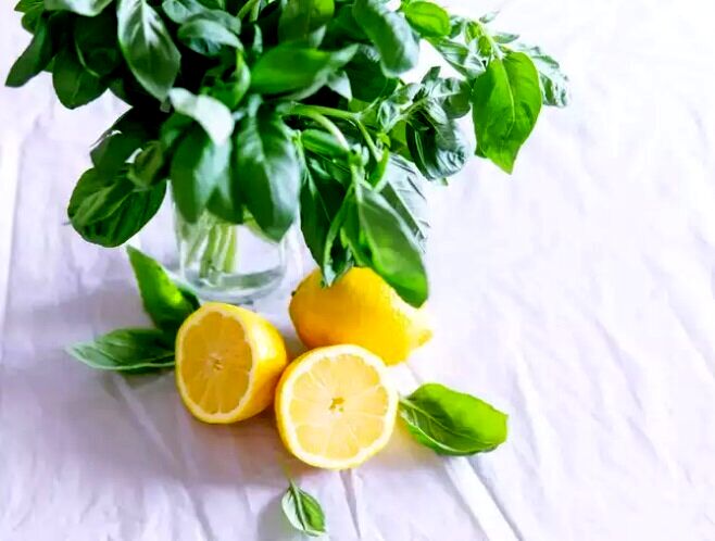 فواید لیمو برای سلامتی انسان