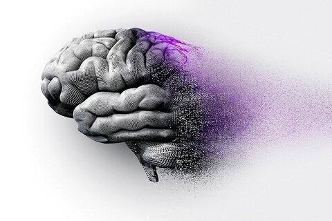 پیری مغز با رژیم غذایی!