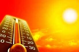 گرمای شدید جان 23 نفر را گرفت