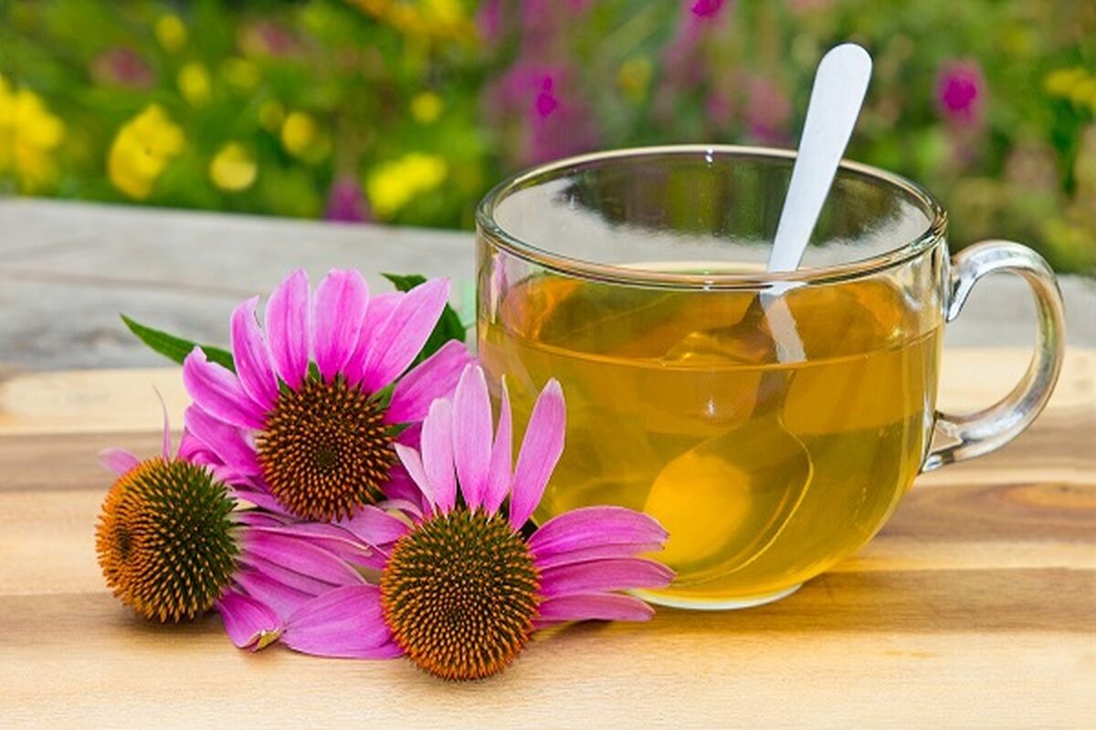 معرفی دمنوش‌های عالی برای آب‌کردن شکم و پهلو
