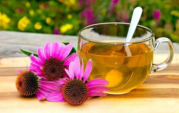 معرفی دمنوش‌های عالی برای آب‌کردن شکم و پهلو
